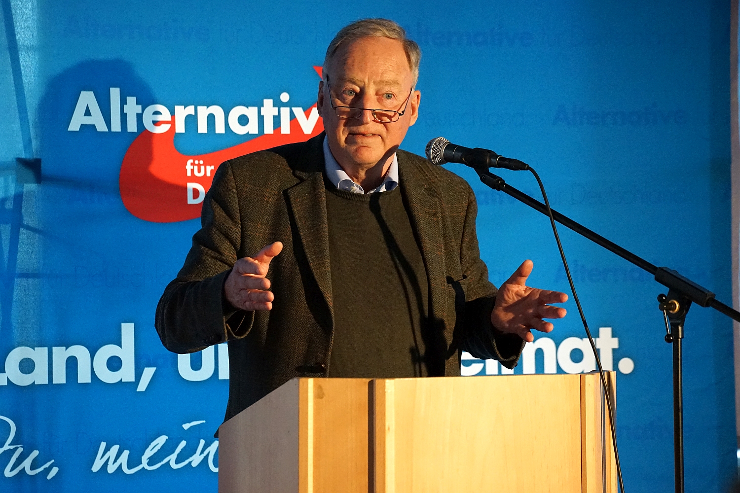 Bundes-Vize Alexander Gauland